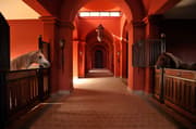 Selman Stables