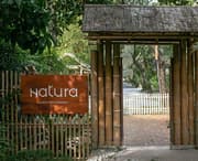 Natura Cafe: A Green Retreat in the Heart of Bangkok