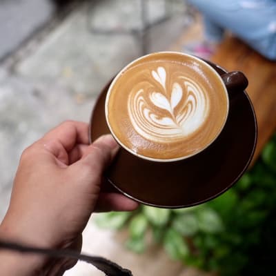 Dream Beans Coffee Roastery