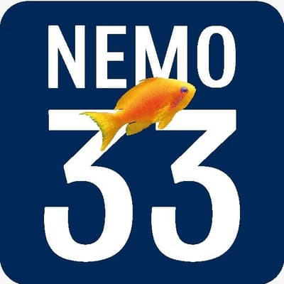 Nemo 33