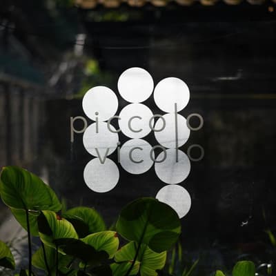 Piccolo Vicolo Café