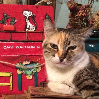 Cafe Naftalin K