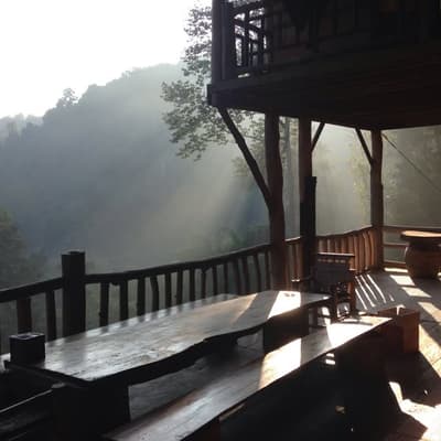 Tree House Hideaway
