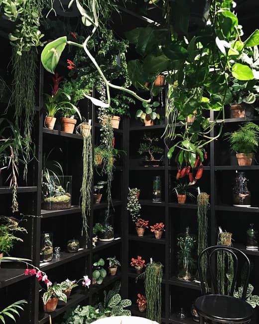 LATROUPE Jardin Secret Hotel Brussels — 6