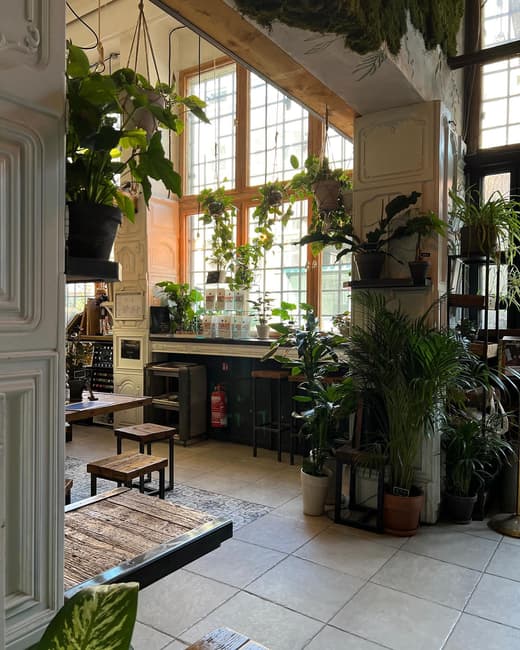 The Greens - Coffee & Plants — 6