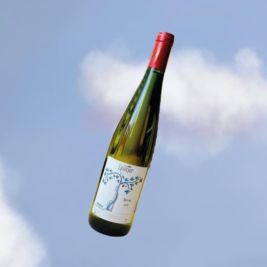 Notre sélection de vin — 7