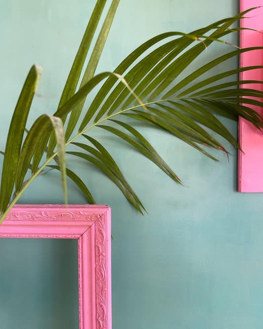 PINK CACTUS - Poolgarden & Restaurant — 7