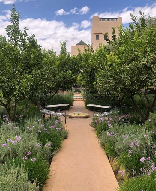 Le Jardin Secret — 7