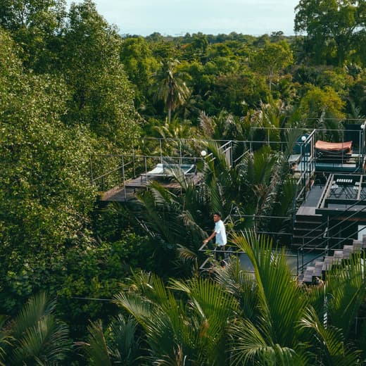 Bangkok Tree House — 3