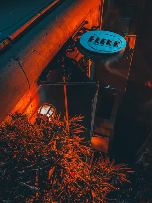 Flekk — 2