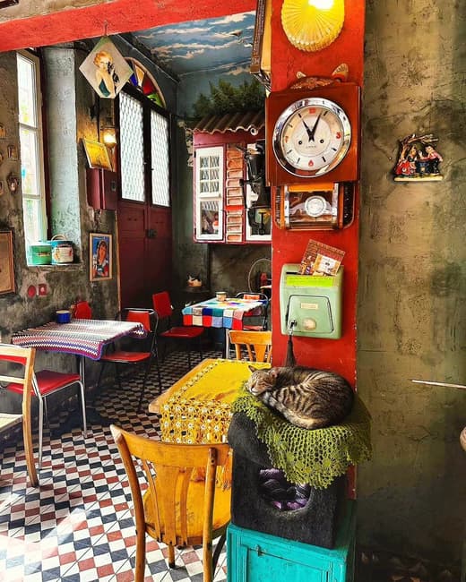 Cafe Naftalin K — 2