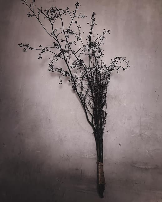 ShersanctuarY — 6