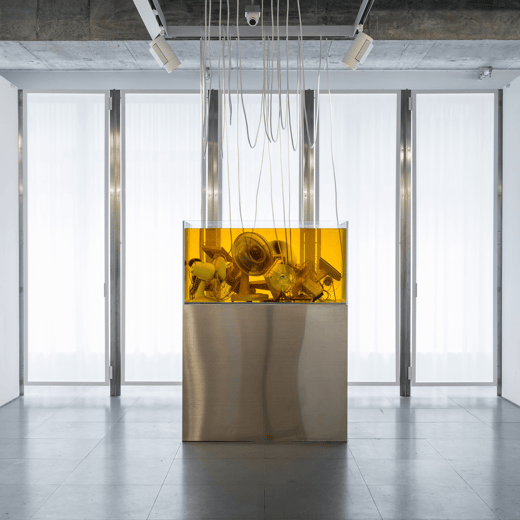 Christophe Gaillard Gallery — 5