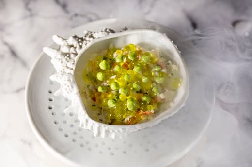 Caelis — 6