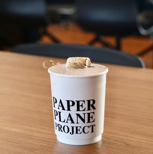 Paper Plane Project — 2