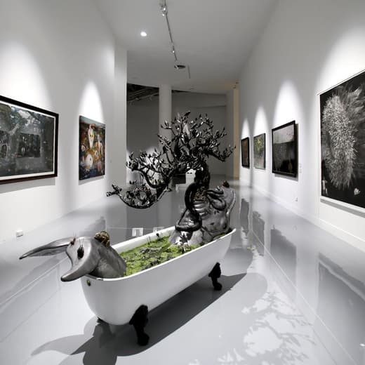 Ardel Gallery Of Modern Art — 5