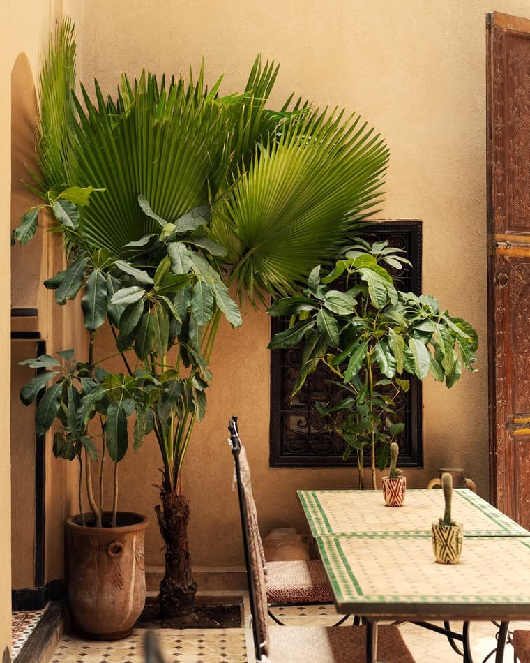 Angsana Heritage Collection Marrakech Riads — 3