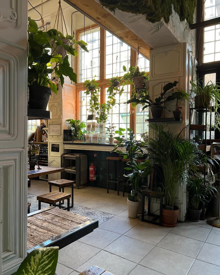 The Greens - Coffee & Plants — 6