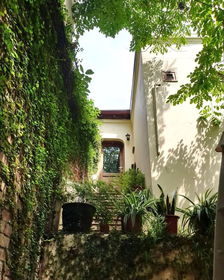 Our Place — 5