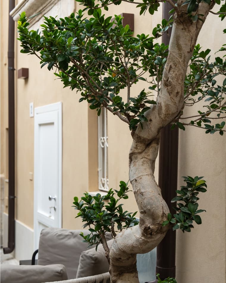 Gallery — 6