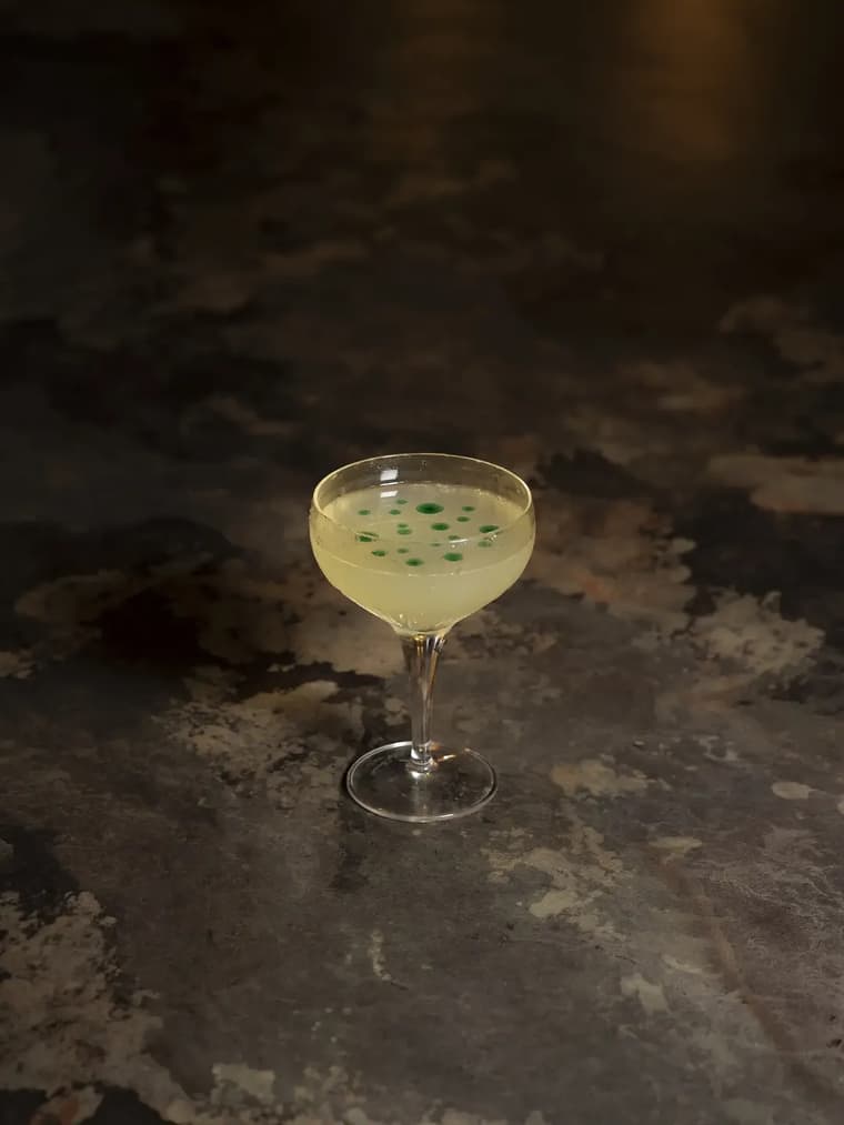 Le Loup Blanc — 5