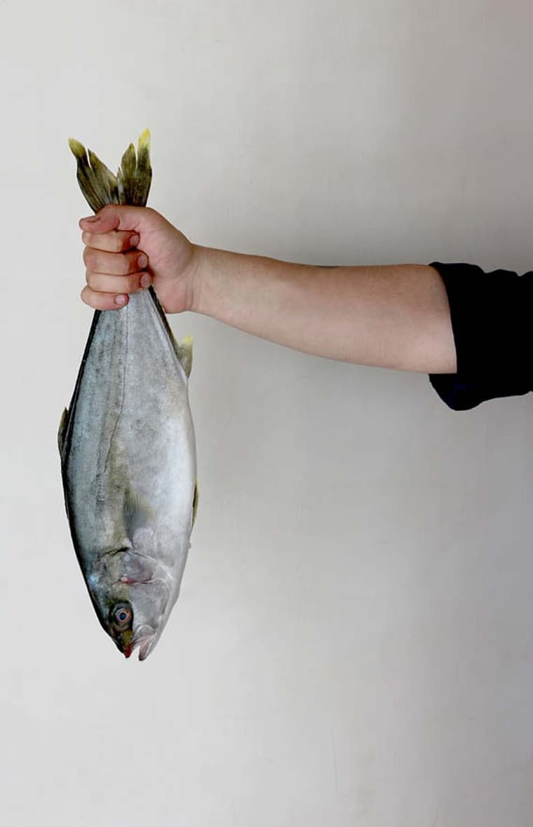 FiskeBar — 11