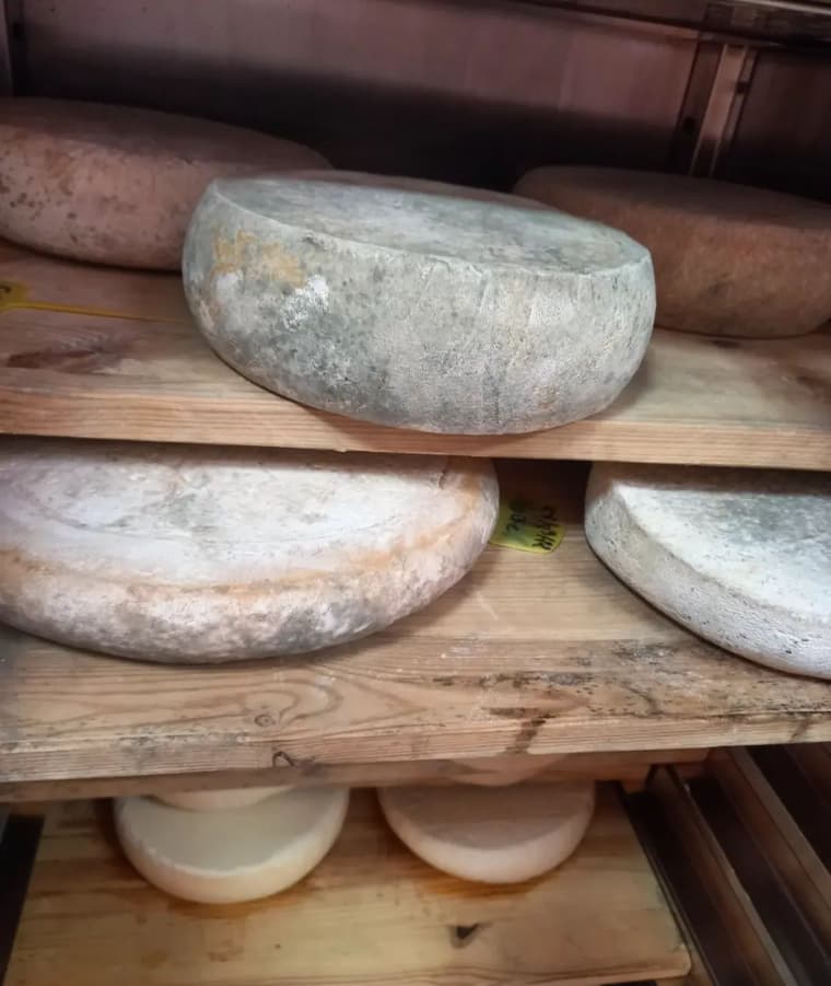 Jnane Tihihit - Ferme d'Hôtes — 3