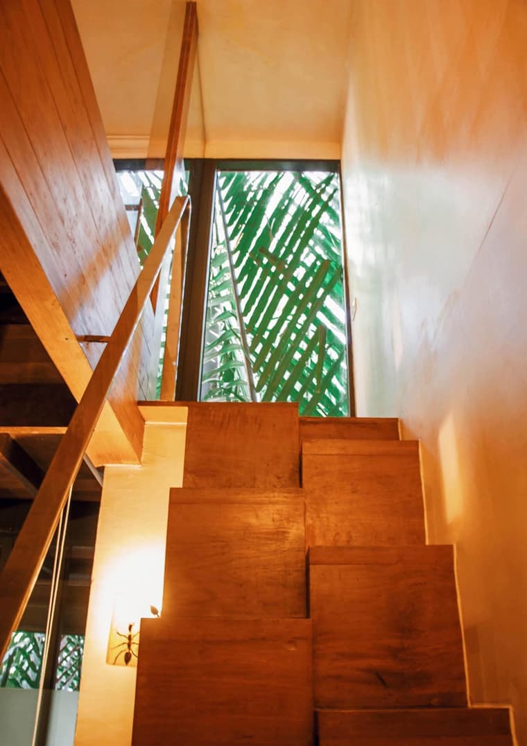 Bangkok Tree House — 2