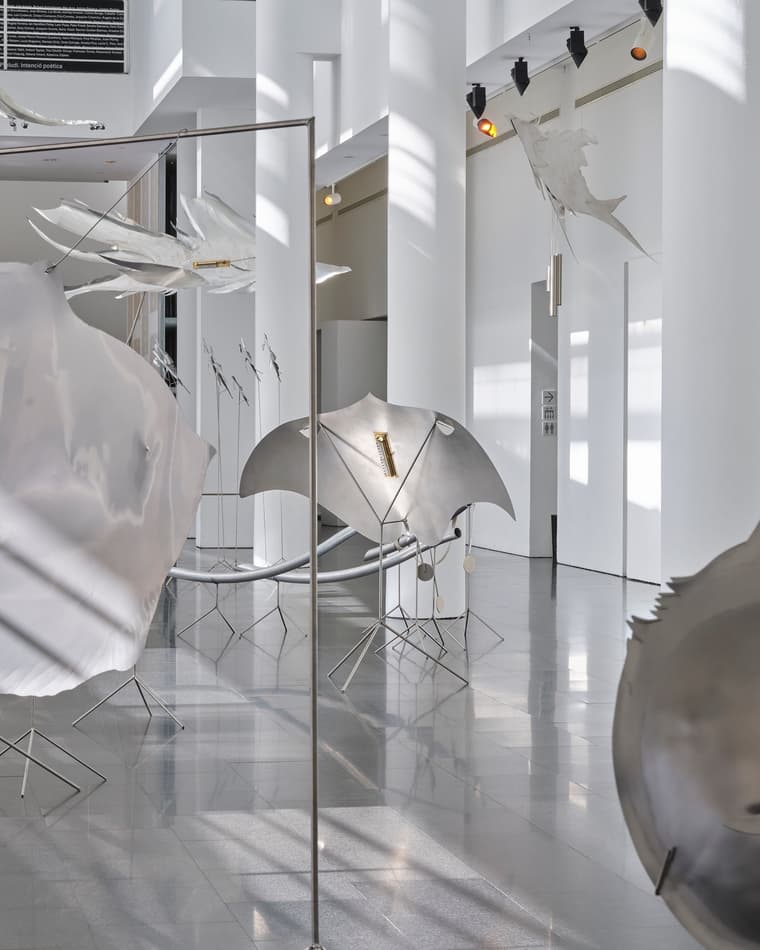 Museu d’Art Contemporani de Barcelona — 4