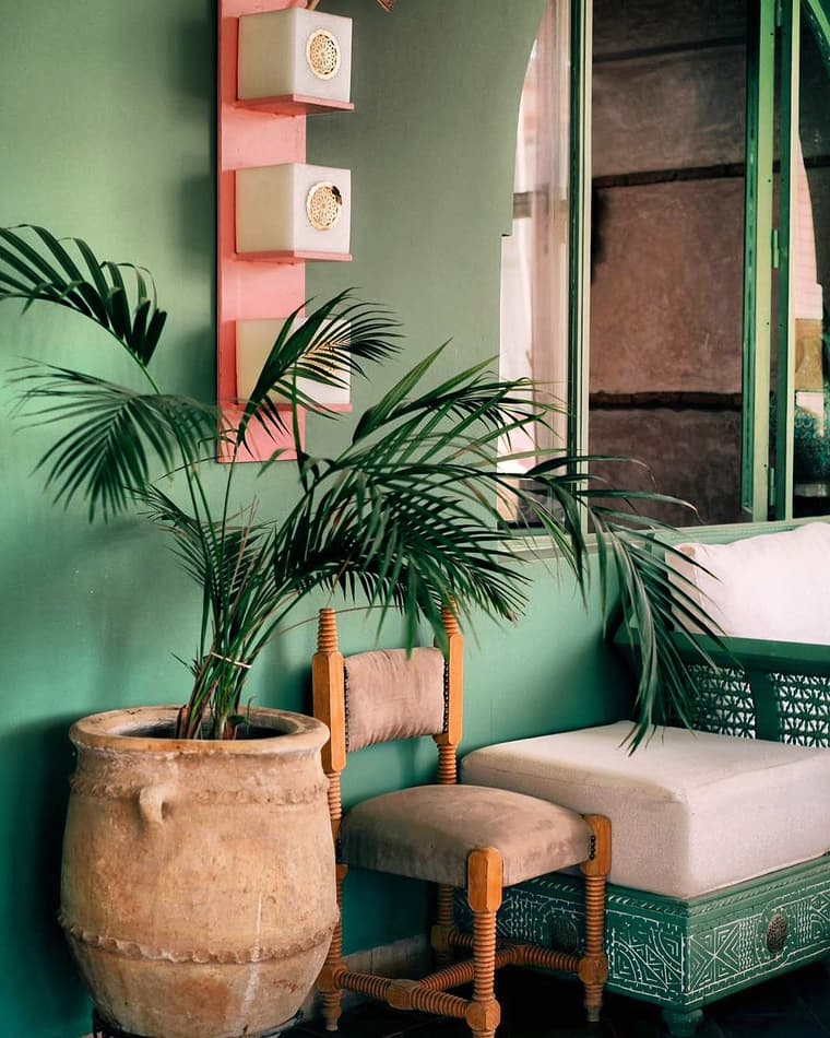 PINK CACTUS - Poolgarden & Restaurant — 3