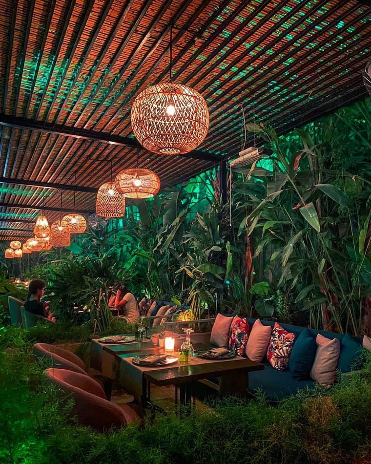 Jungle vibes — 1