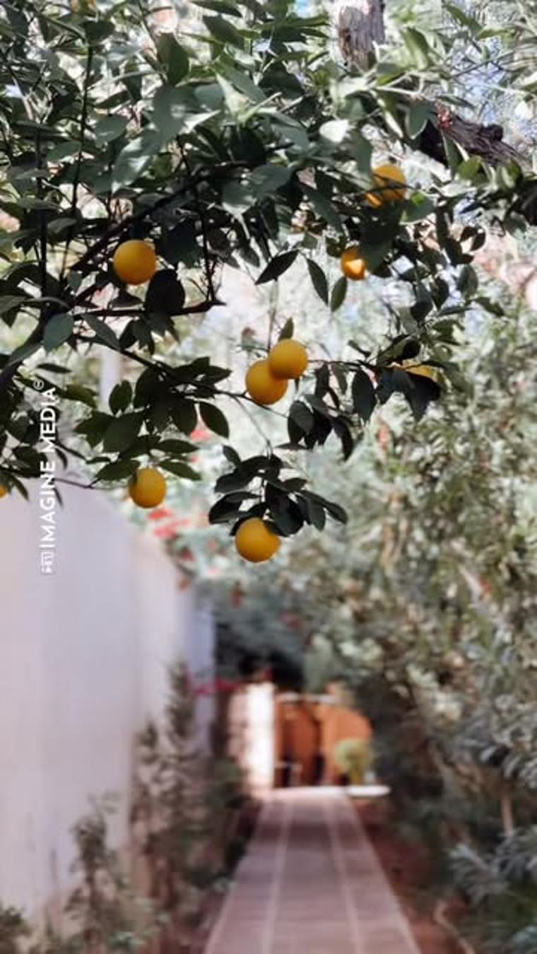 Gallery — 11