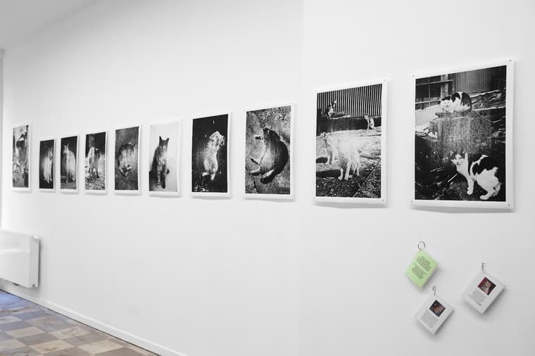 L'Enfant Sauvage — 4