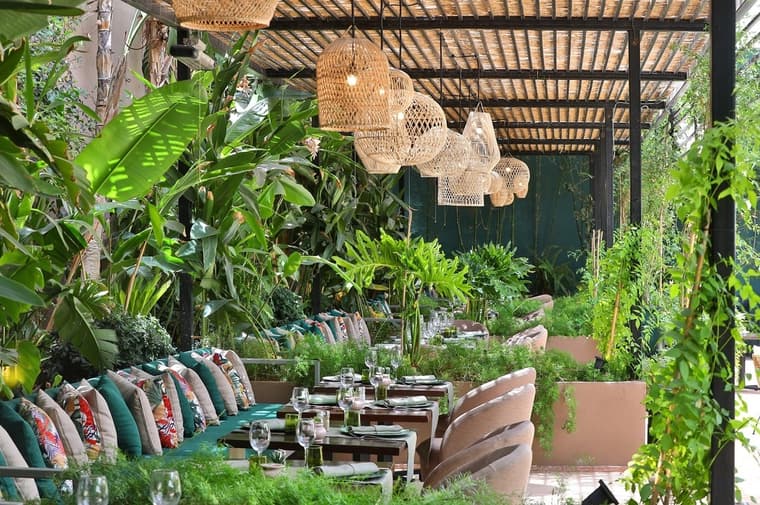 Jungle vibes — 2