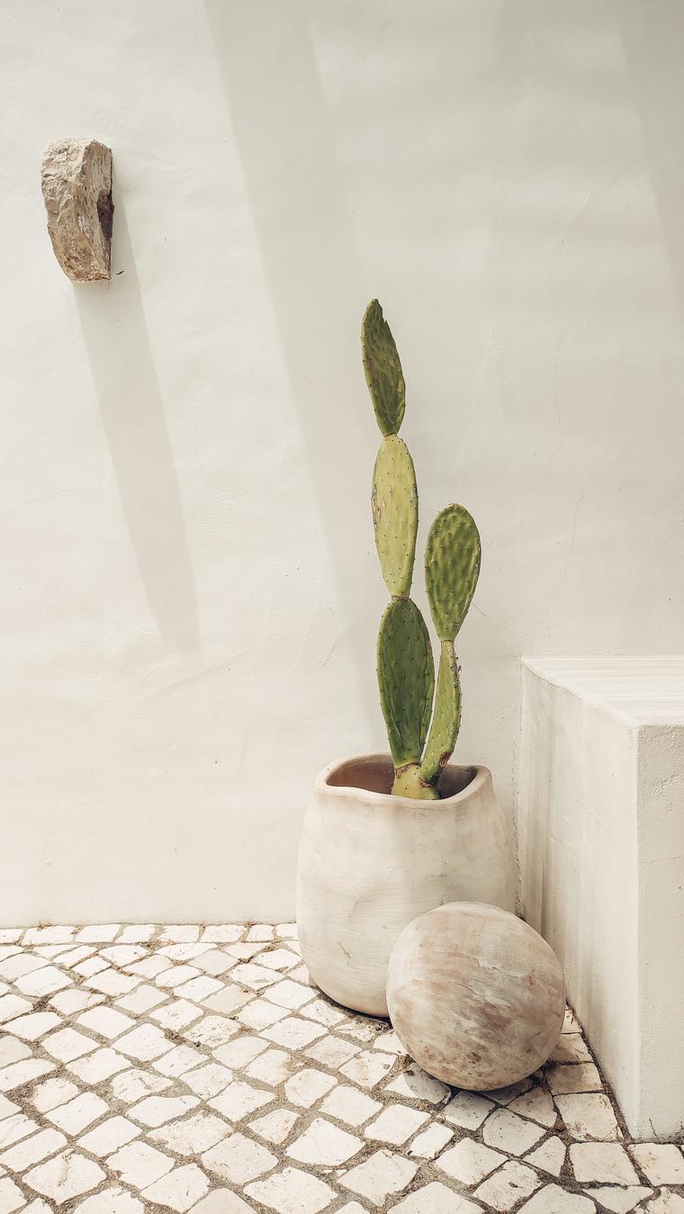 Inspired by traditional aesthetics — 3