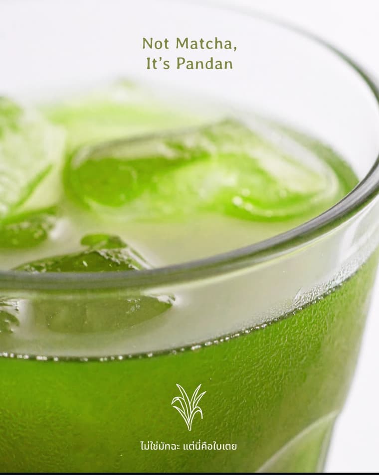 Panland (เเป้น-เเล้น) cafe — 2