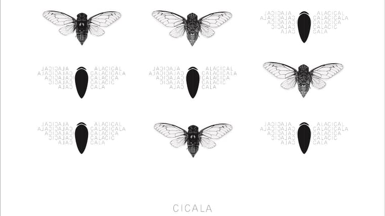 CiCala — 7