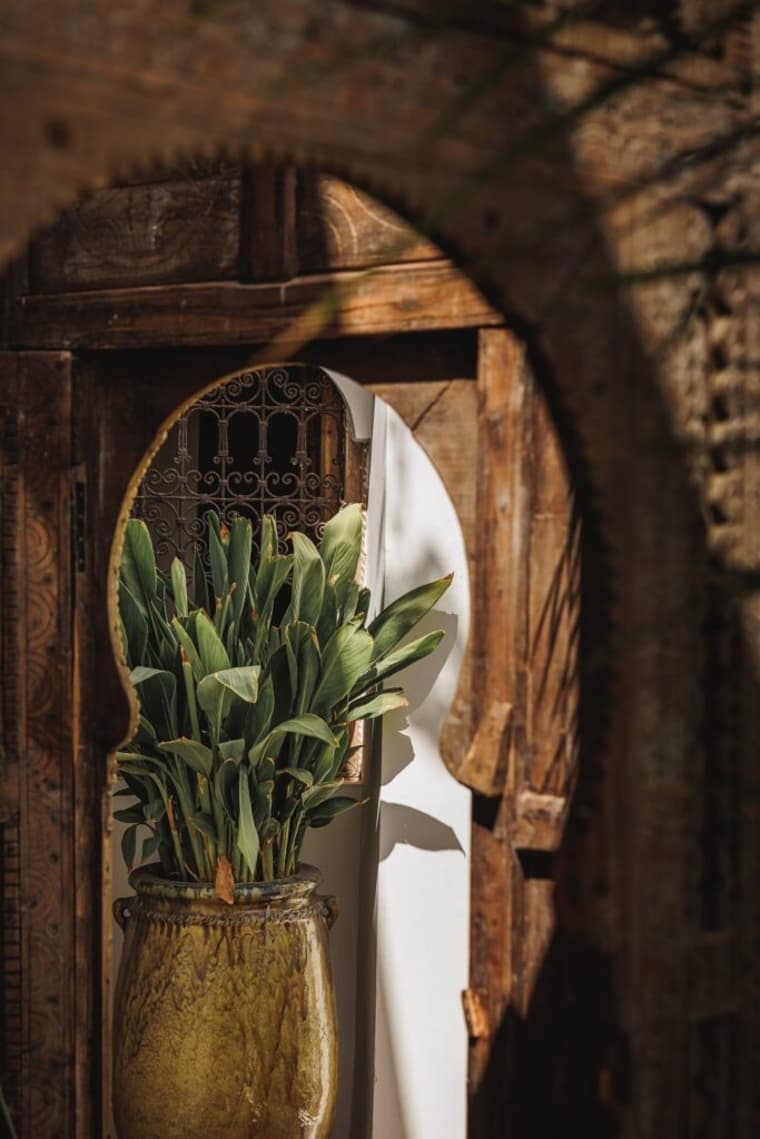 Riad Alkemia — 20