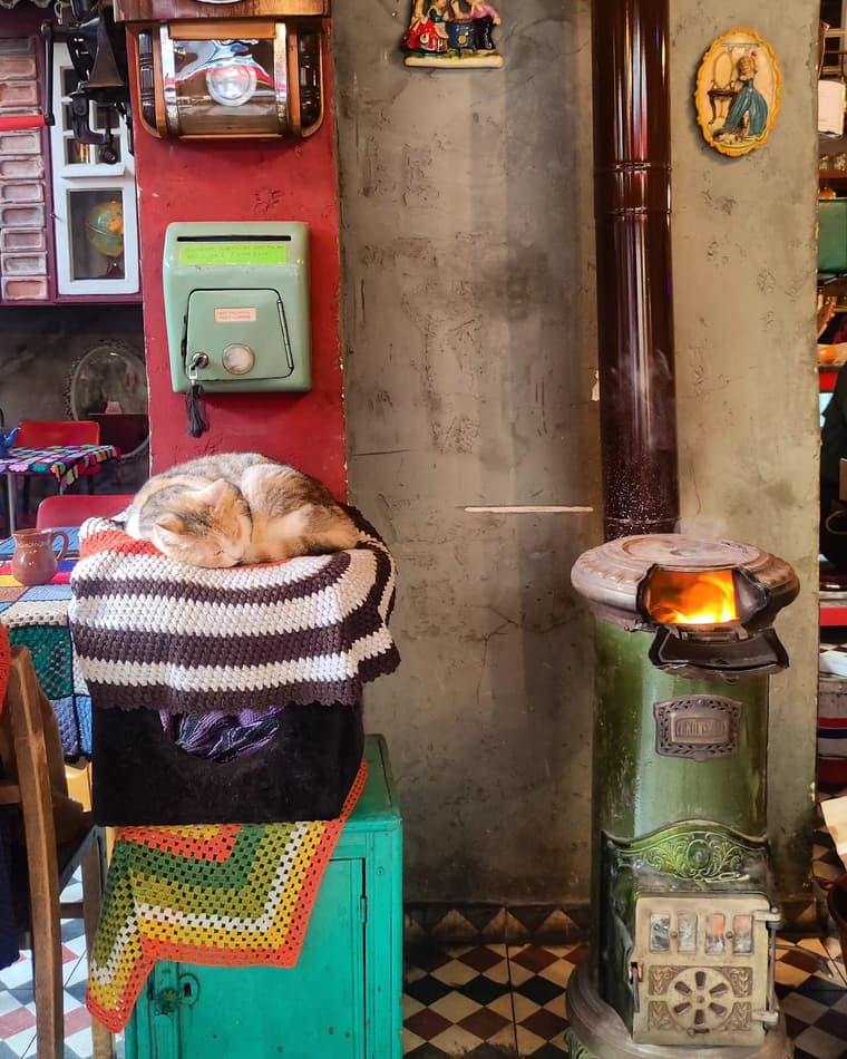 Cafe Naftalin K — 3