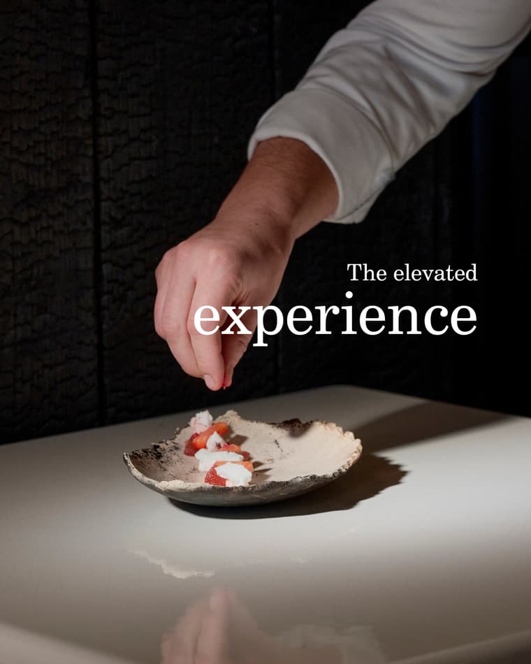 Chaga Restaurant — 4