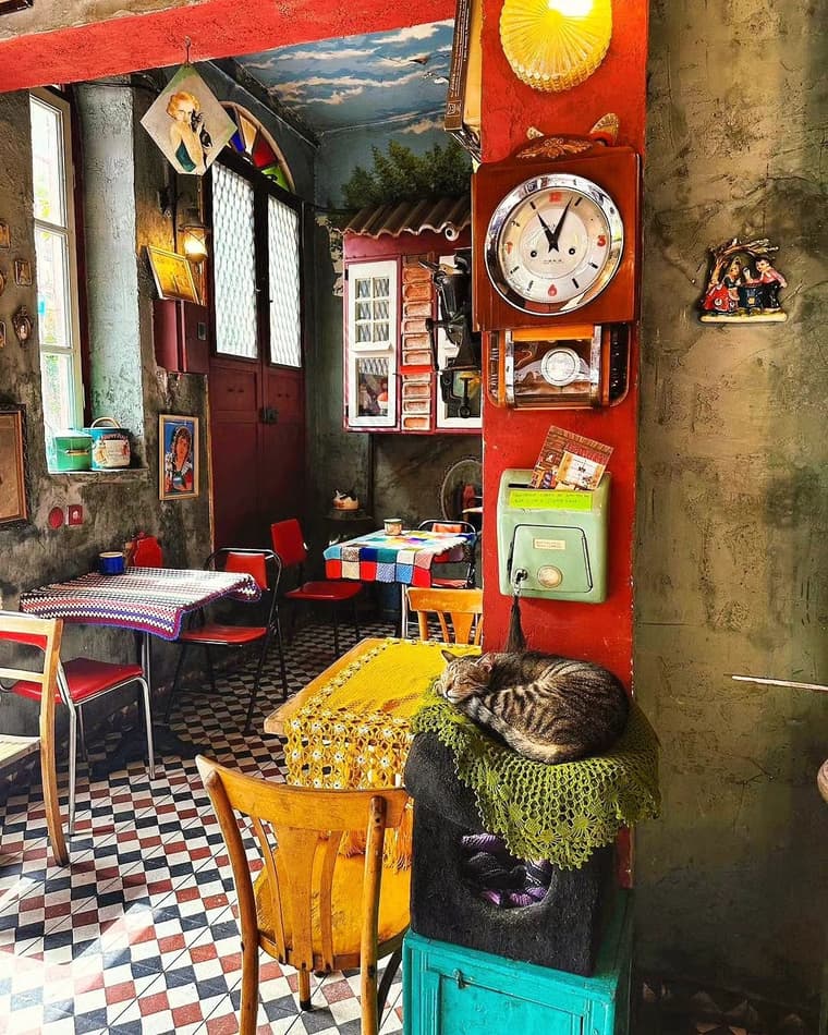 Cafe Naftalin K — 2