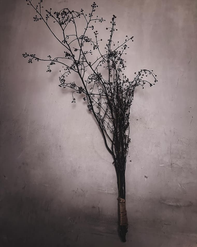 ShersanctuarY — 6