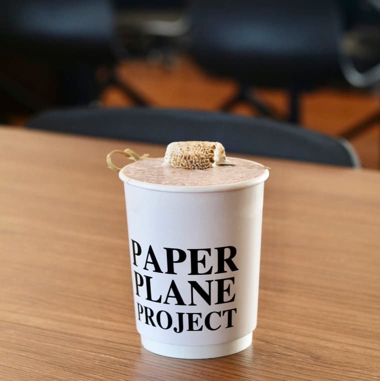 Paper Plane Project — 2