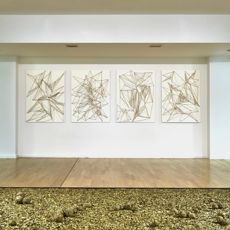 Galerie Univer / Colette Colla — 6
