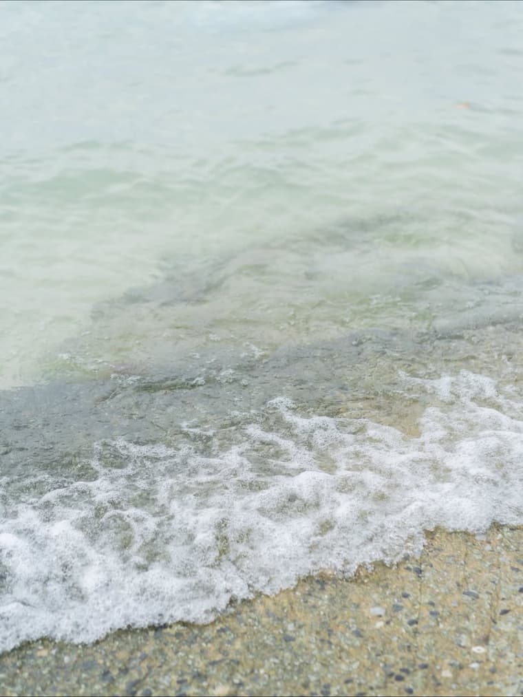 SEAQUEEN — 2