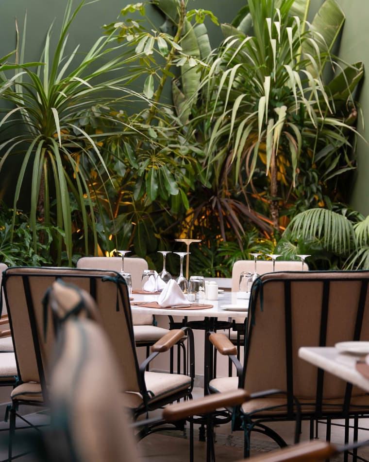 Notre restaurant  — 11