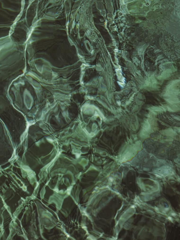 Gallery — 4