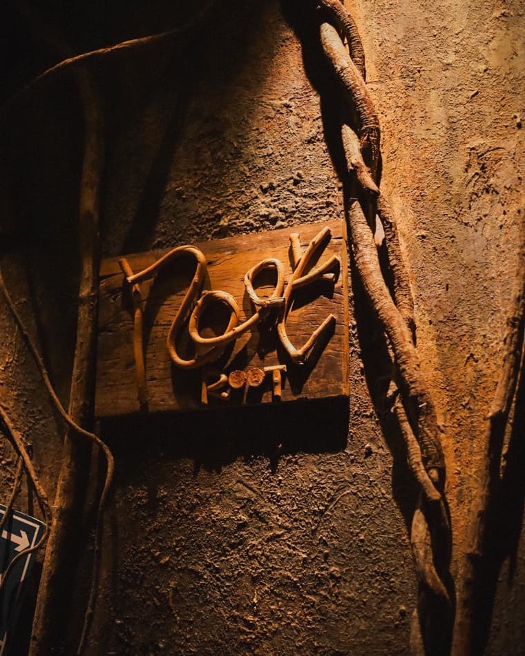 Root — 6