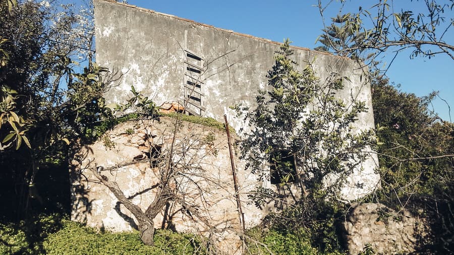 The Story of Casa Linear : A Soulful Restoration