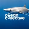 Ocean Collective